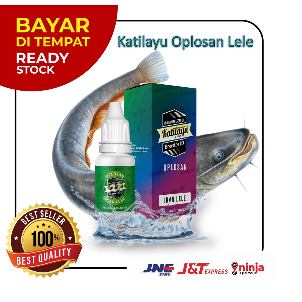 Essen Katilayu Oplosan Lele Umpan Mancing Galatama Harian