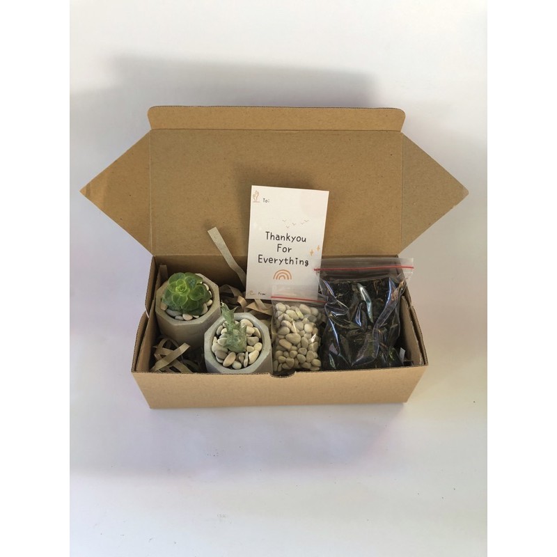 Hampers Sukulen / Kaktus | Gift birthday, graduation, valentine, lebaran, nyepi, imlek | Kado