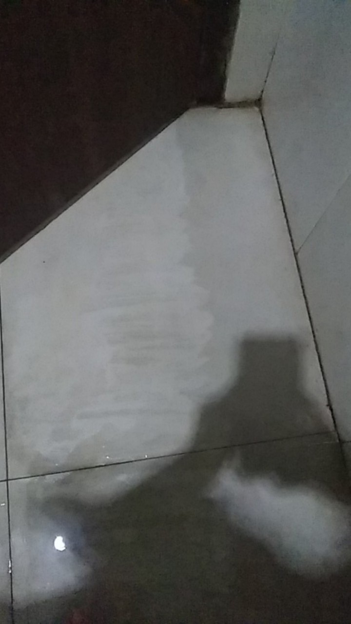 Agios 250ml Pembersih Toilet Kerak Keramik Porselen Kamar Mandi - Ampuh Bersihkan Noda Dan Kerak