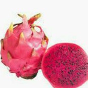 

Buah Naga. (2-3buah/kg).