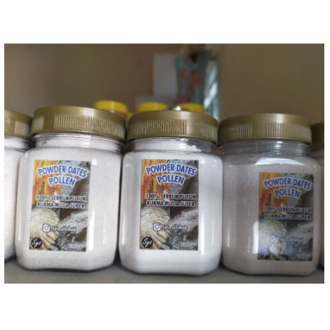 

KURMA MUDA BUBUK