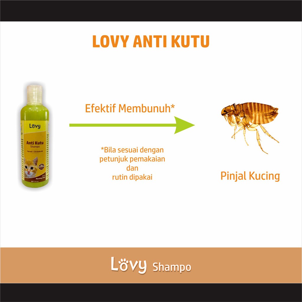 Shampo Kucing Anti Kutu Shampo LOVY 5 LITER