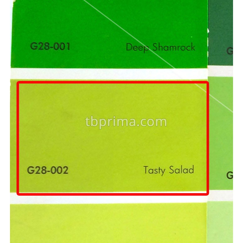 No Drop Tinting G28-002 Tasty Salad 4 kg