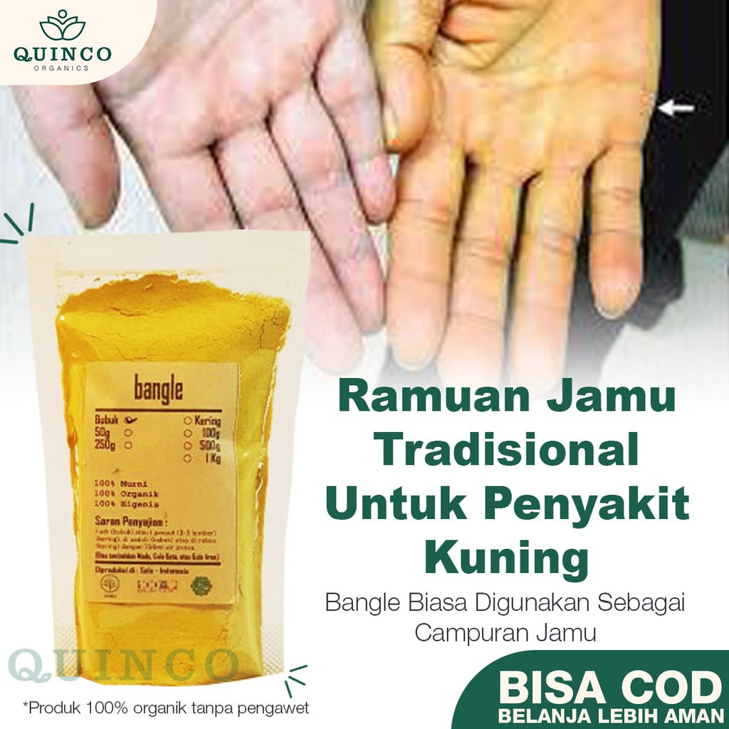 

Bubuk Bangle Asli 100 gram Rempah Murni jsr Herbal Kesehatan Tanaman Zingiber Montanum R98 Fresh