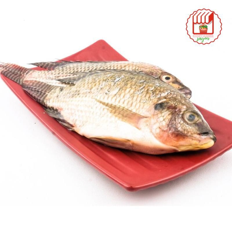 

ContainerSayur Ikan mujair 500gr