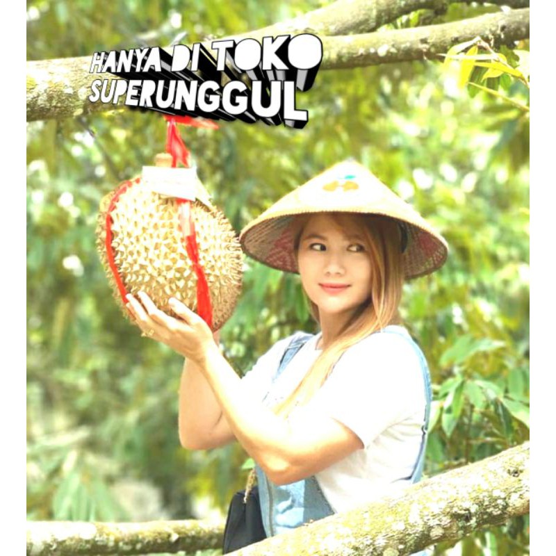 Bibit Durian Musangking Unggul Dan Murah