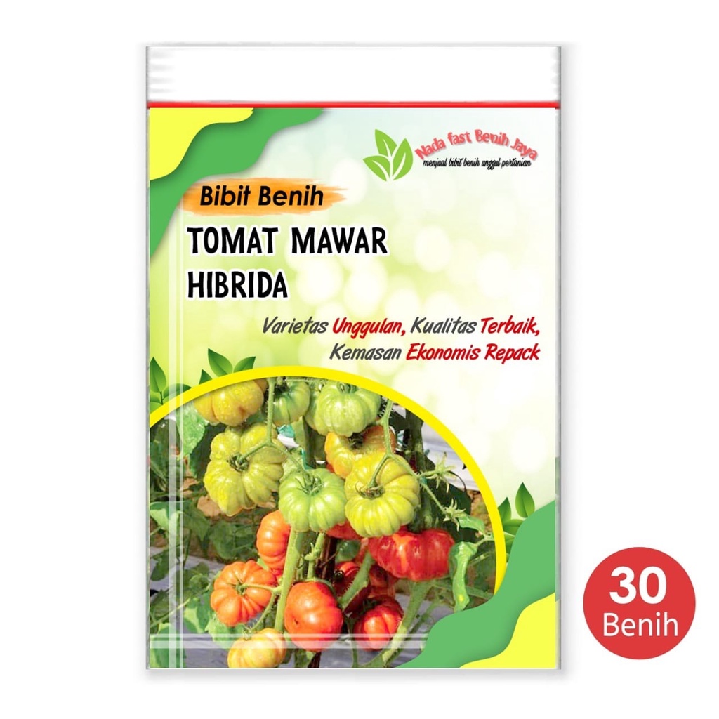 Nada fast benih jaya - 30 biji Benih tomat mawar F1 - bibit tomat mawar super