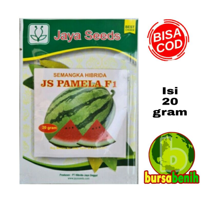 Benih Semangka JS PAMELA F1 - Bibit Semangka F1 Isi 20 Gram