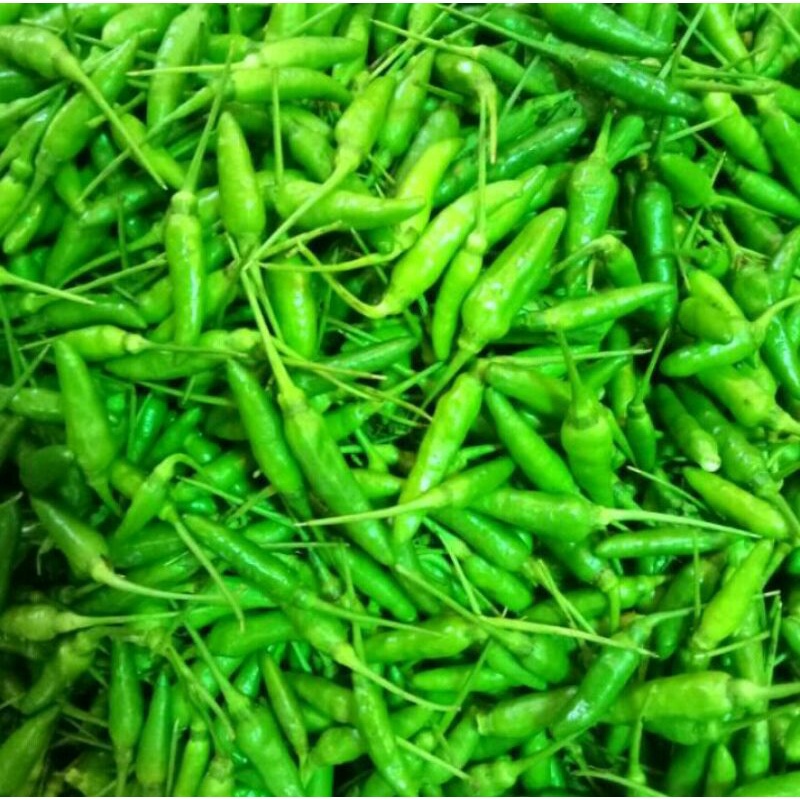 

Cabai Rawit Hijau 250g