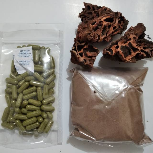 Sarang semut+daun herbal alami anti kardiovaskuler, sirosis hati, tumor