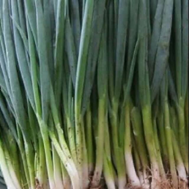 

Daun bawang fresh 150gr