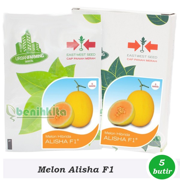 Benih-Bibit Melon Kuning Alisha F1 (Cap Panah Merah)