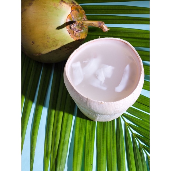 

Puding Batok kelapa