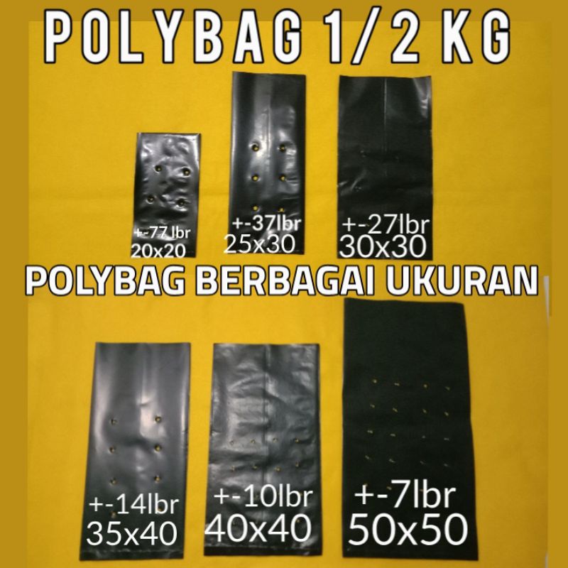 Polybag poly bag 1/2kg 20x20 25x30 30x30 35x40 40x40 50x50