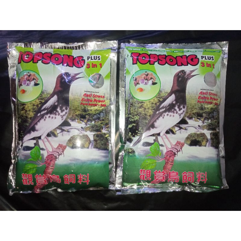 Top Song  3 in 1 Plus || Pakan Burung Kacer, Murai Dll