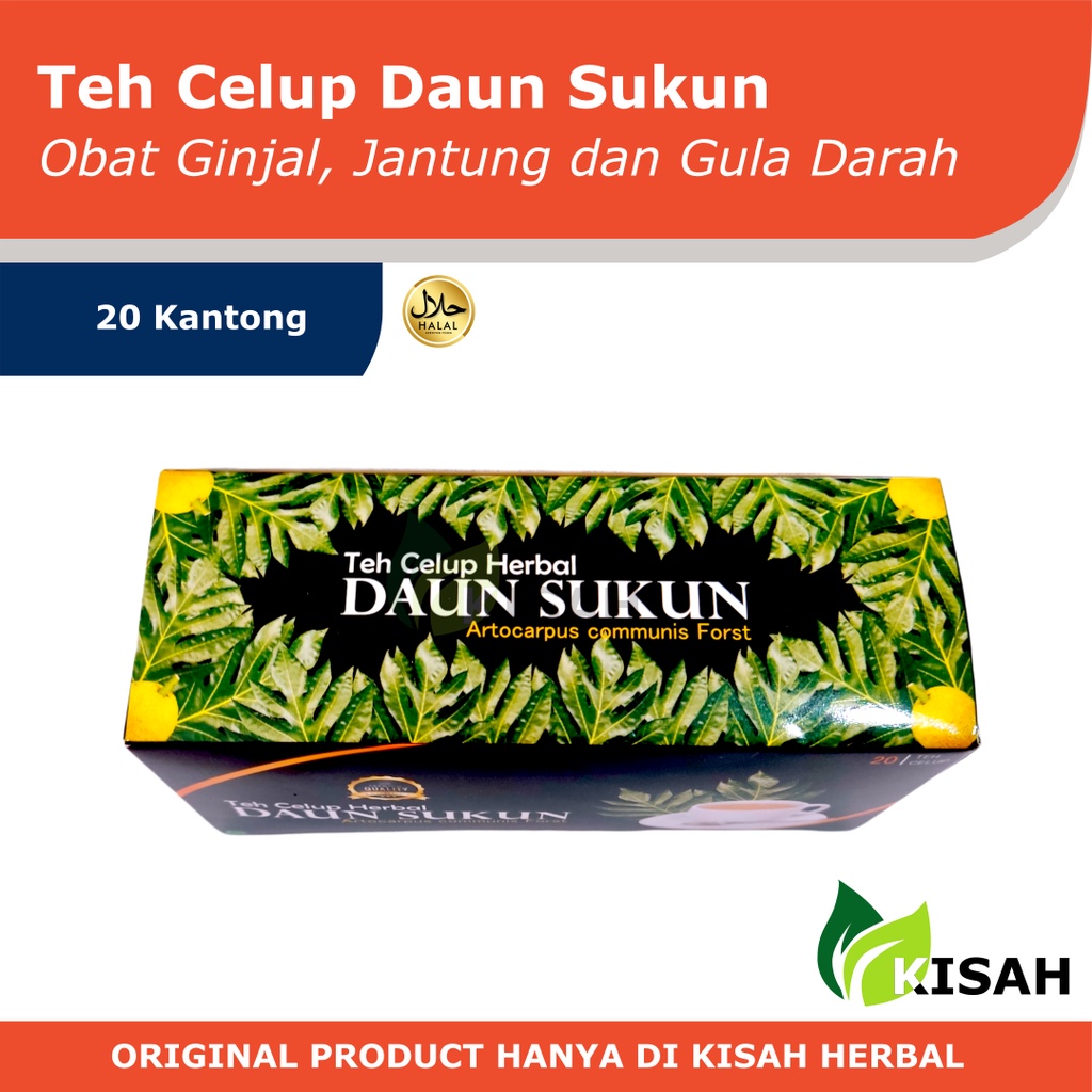 TEH CELUP DAUN SUKUN PREMIUM 20 KANTONG | OBAT PENYAKIT GINJAL, JANTUNG DAN GULA DARAH