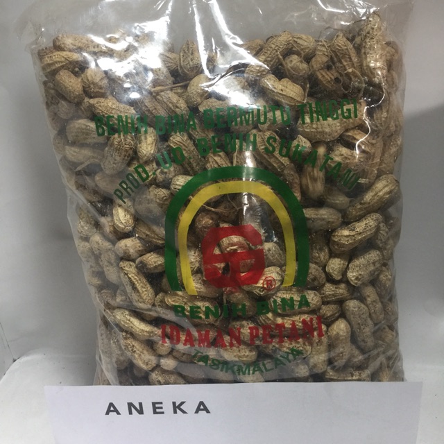 

Kacang tanah 1 kg benih biji laris murah glosir