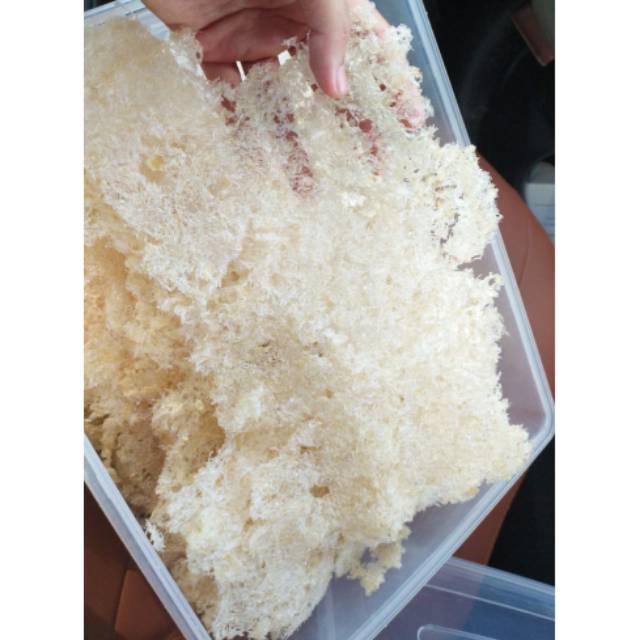 Sarang Burung Walet Bersih 1gr Hancuran Bersih