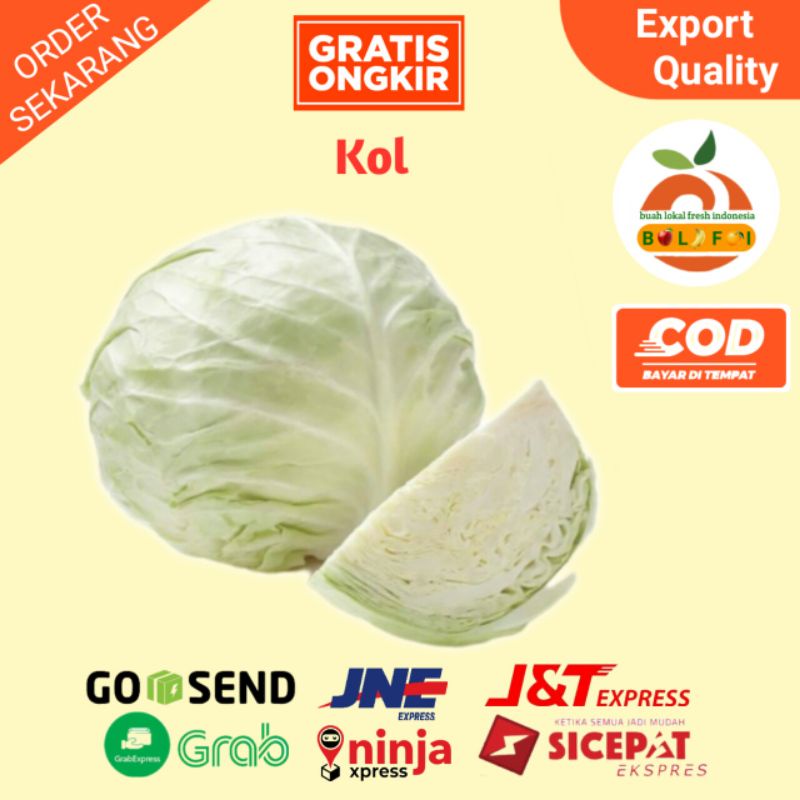 

SAYUR KOL PUTIH SIZE 1KG - 1,5 PER PCS