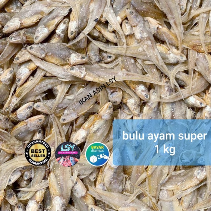 

bulu ayam kering super / kalimantan 1kg