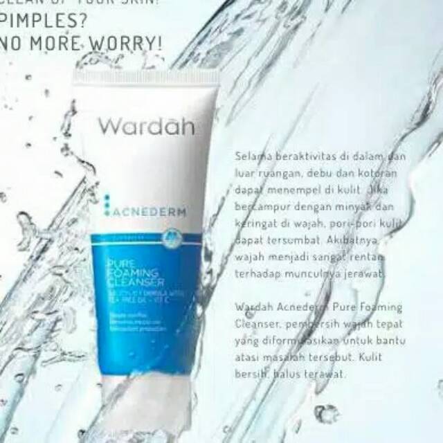 WARDAH ACNEDERM PURE FOAMING CLEANSER