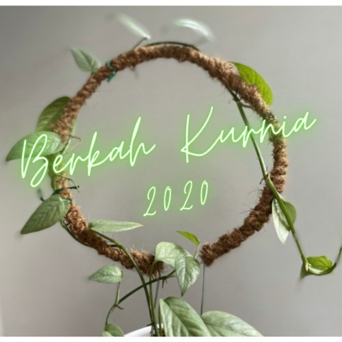 Penyanggah Tanaman Rambat Bulat Turus Tanaman Rambat Bulat Turus Kawat