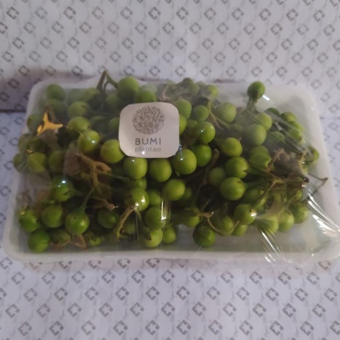 

Terong Pipit Terong Pokak Takokak 200 gram - Sayur Segar