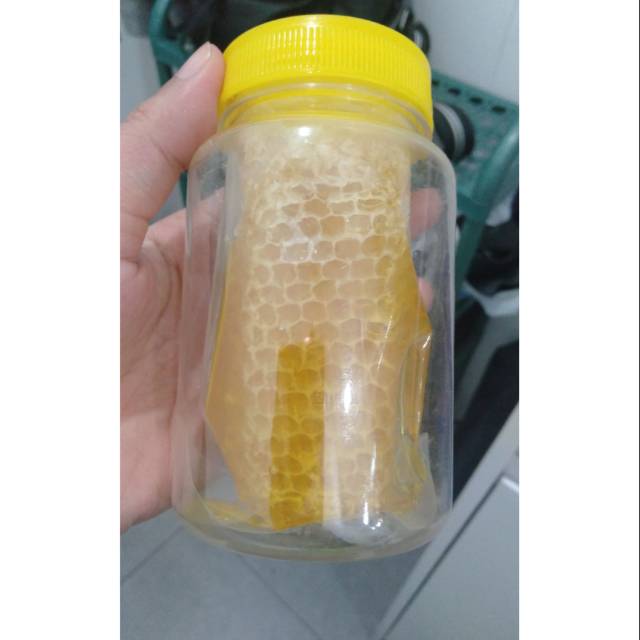 

Sarangmadu lebah melifera