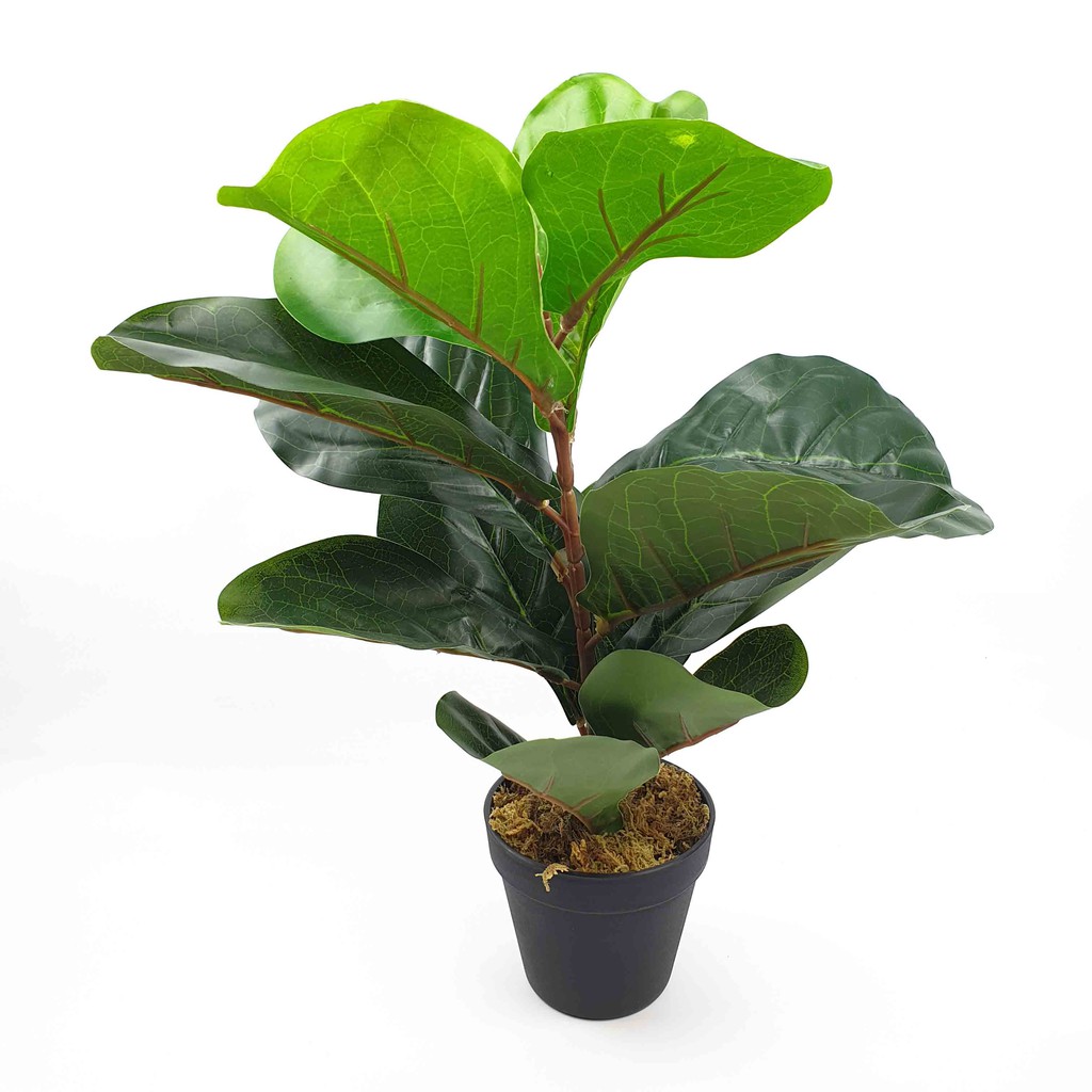 Pohon Daun Ketapang Biola Artificial 45 cm + pot/ Pohon Hias Plastik