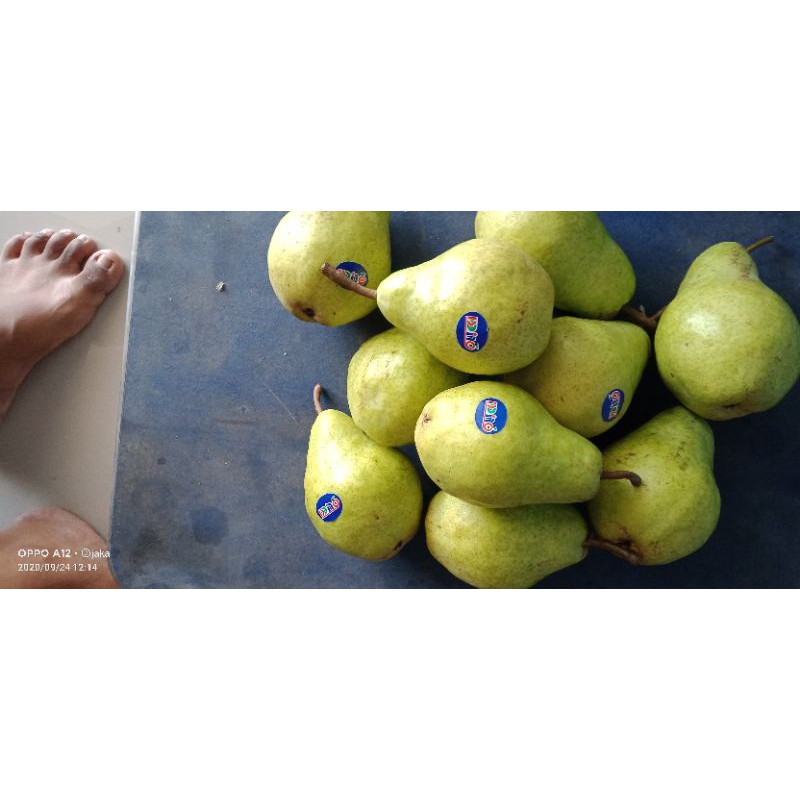 

pear packam import