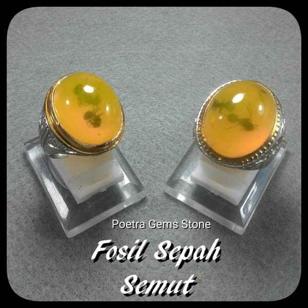 CINCIN FOSIL AMBER SEPAH SEMUT HQ