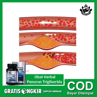 Jual Obat Herbal Penurun Trigliserida, Obat Trigliserida Tinggi, Lemak ...