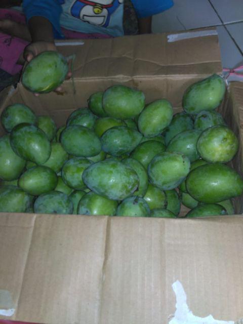 Gembok Pagar / Rumah Besi Leher Pendek Ats 30 Mm 30mm Iron Padlock