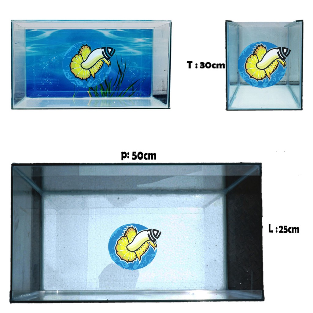 Aquarium / Aquascape 50x25x30