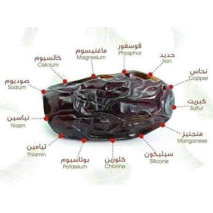 

Buruan Beli - Kurma Ajwa Al-Madina 1Kg Premium / Kurma Nabi / Kurma Ajwa Original