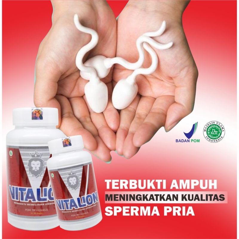 VITALION ASLI 100% ORIGINAL - VITALION OBAT HERBAL PRIA MENINGKATKAN KUALITAS SPERMA PRIA DEWASA - O