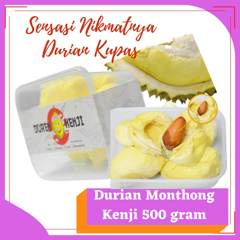 

Duren Montong Kenji Durian Kupas Segar 500gr | Durian Monthong Fresh Beku | Frozen Food Royaldates