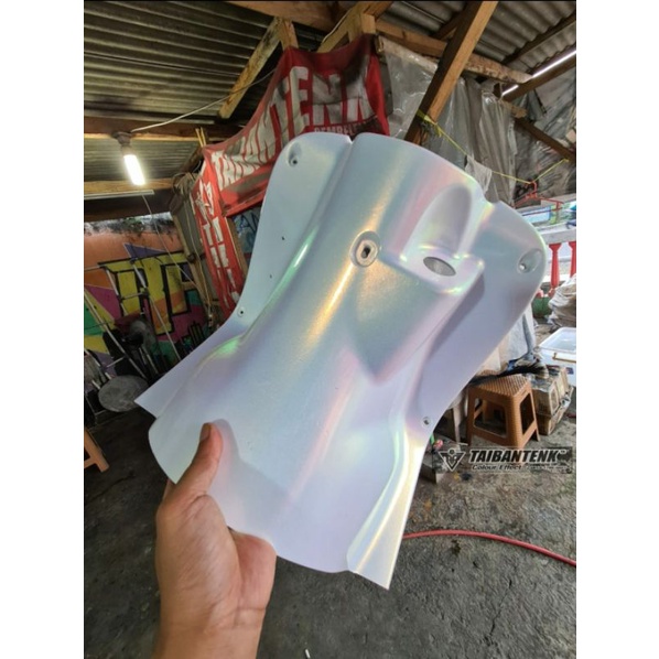 Cat Bunglon Taibantenk SWANSEA