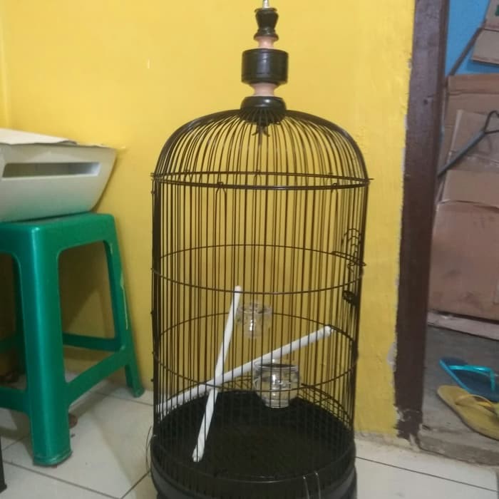 Kandang Burung Lovebird Kenari Merk Panda Sangkar Burung