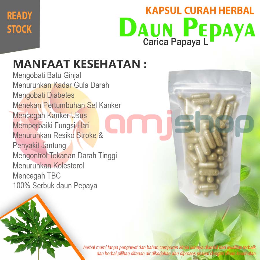 

KAPSUL CURAH HERBAL DAUN PEPAYA
