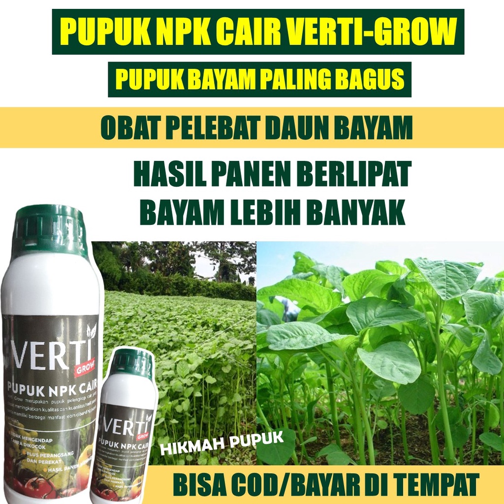 (PUPUK BAYAM) PUPUK NPK VERTI-GROW OBAT ORGANIK PELEBAT BAYAM Biar Cepat Berbuah, Hasil Panen Banyak