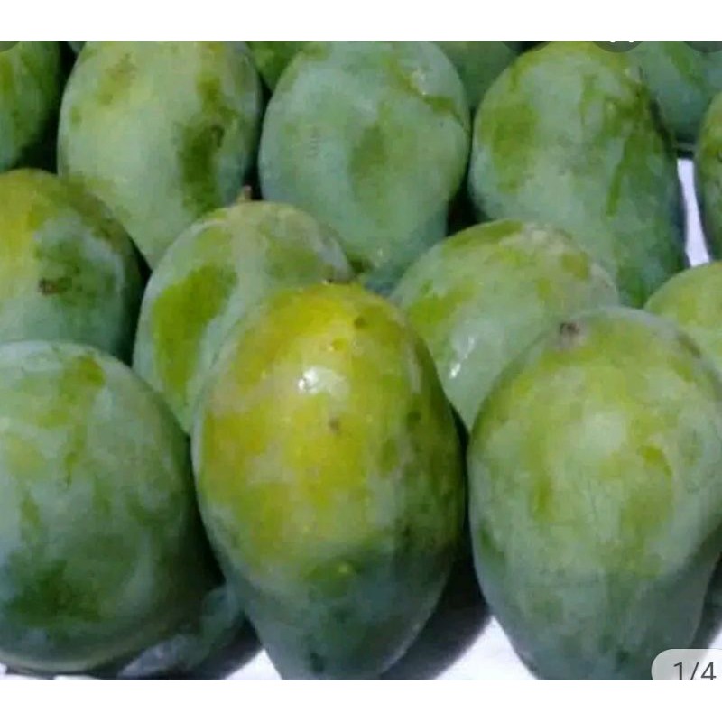 

mangga HR 1kg