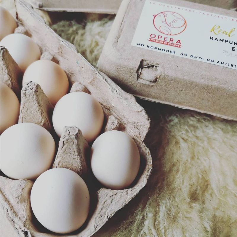 

Opera Telur Ayam Organik