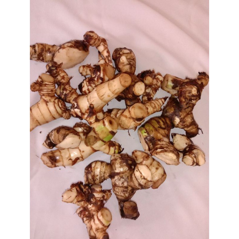

umbi ganyol 1000 grm