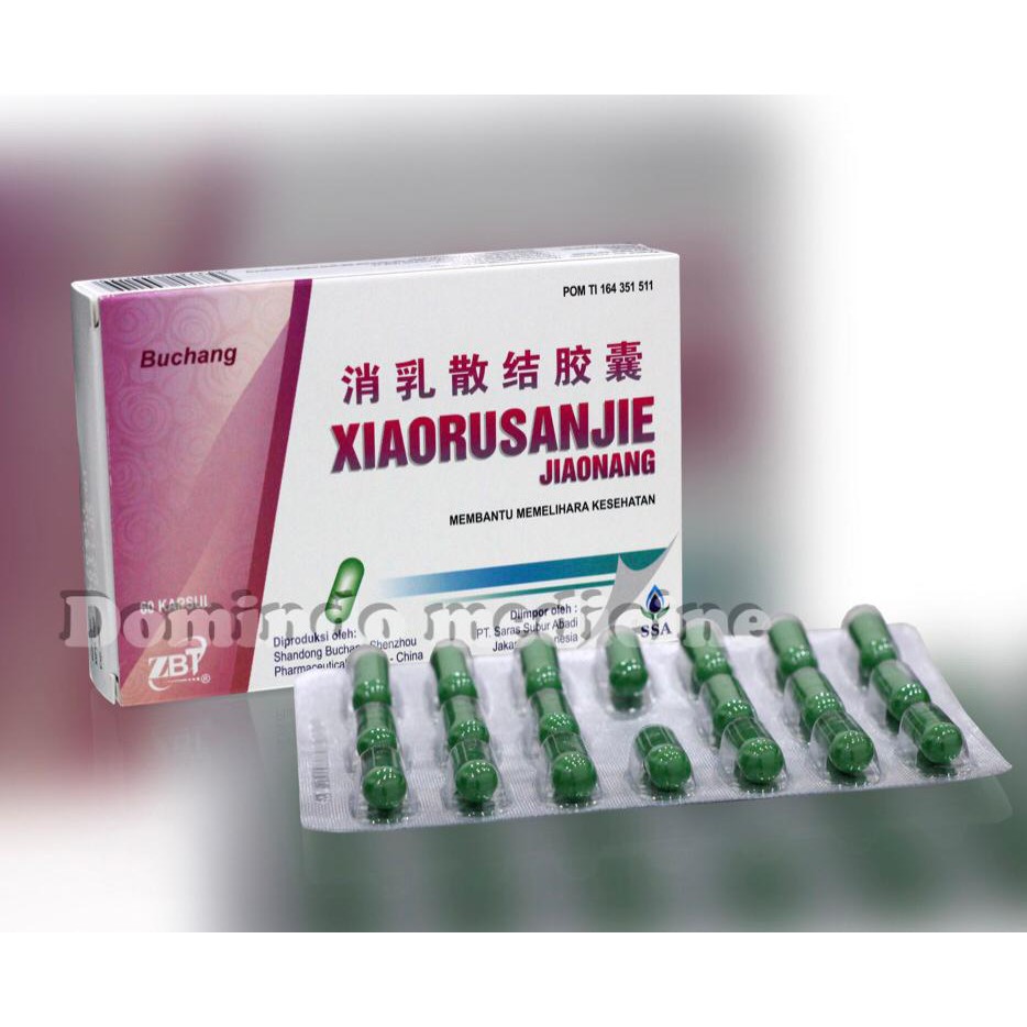 Obat Tradisional China BUCHANG XIAORUSANJIE JIAONANG 60's