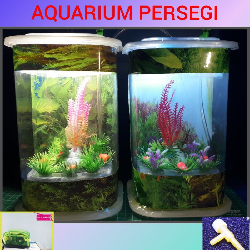 Aquarium mini persegi  ikan cupang ikan hias guppy kotak lampu LED dan Mesin Aerator