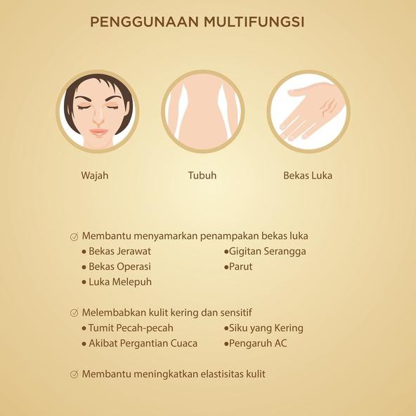 ✩ Bio Essence Bio Treatment Essence In Oil 60 ml ➶