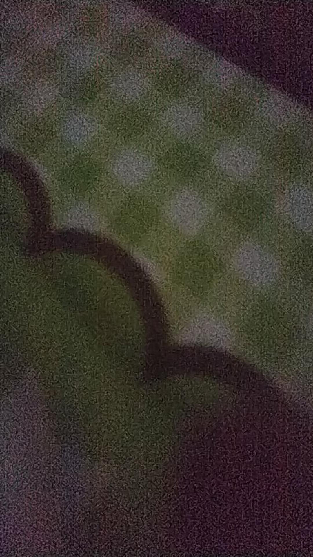 Sunlight Jeruk Nipis 210 Ml 400 Ml 755 Ml & 1600 Ml