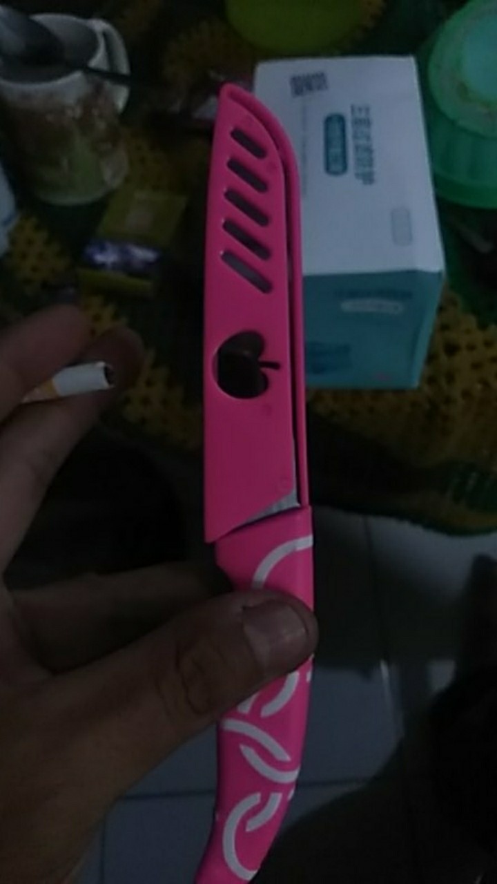 Pisau Apel Pisau Dapur Untuk Potong Buah Dan Sayur Bahan Stainless