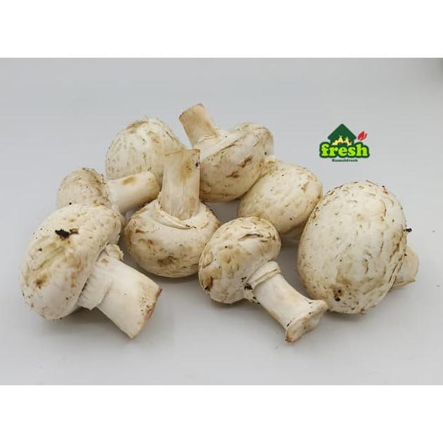 

TERMURAH Jamur KANCING 1 kilo, CHAMPIGNON MUSHROOM SEGAR best in town Kode 1125